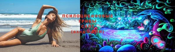 соль ск Алексеевка