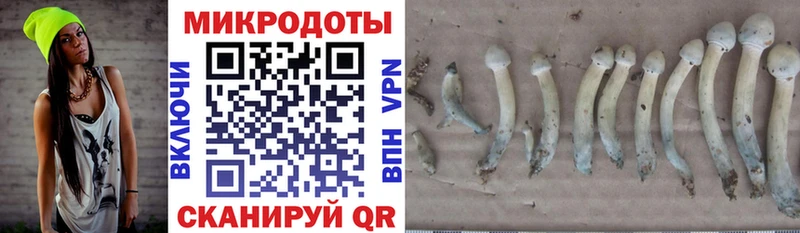 купить наркотик  Кимры  Псилоцибиновые грибы MAGIC MUSHROOMS 