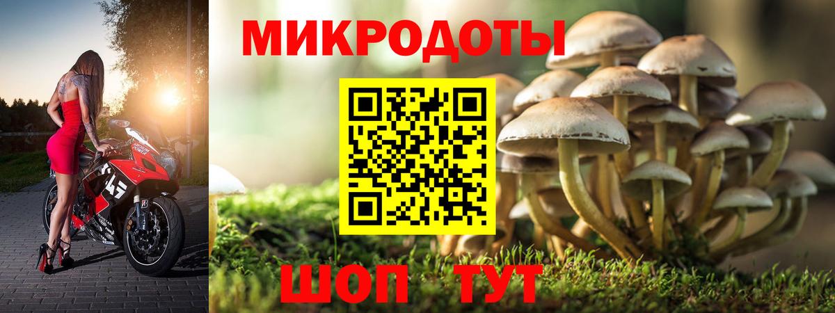 Кимры  Псилоцибиновые грибы Magic Shrooms  Вход с VPN 